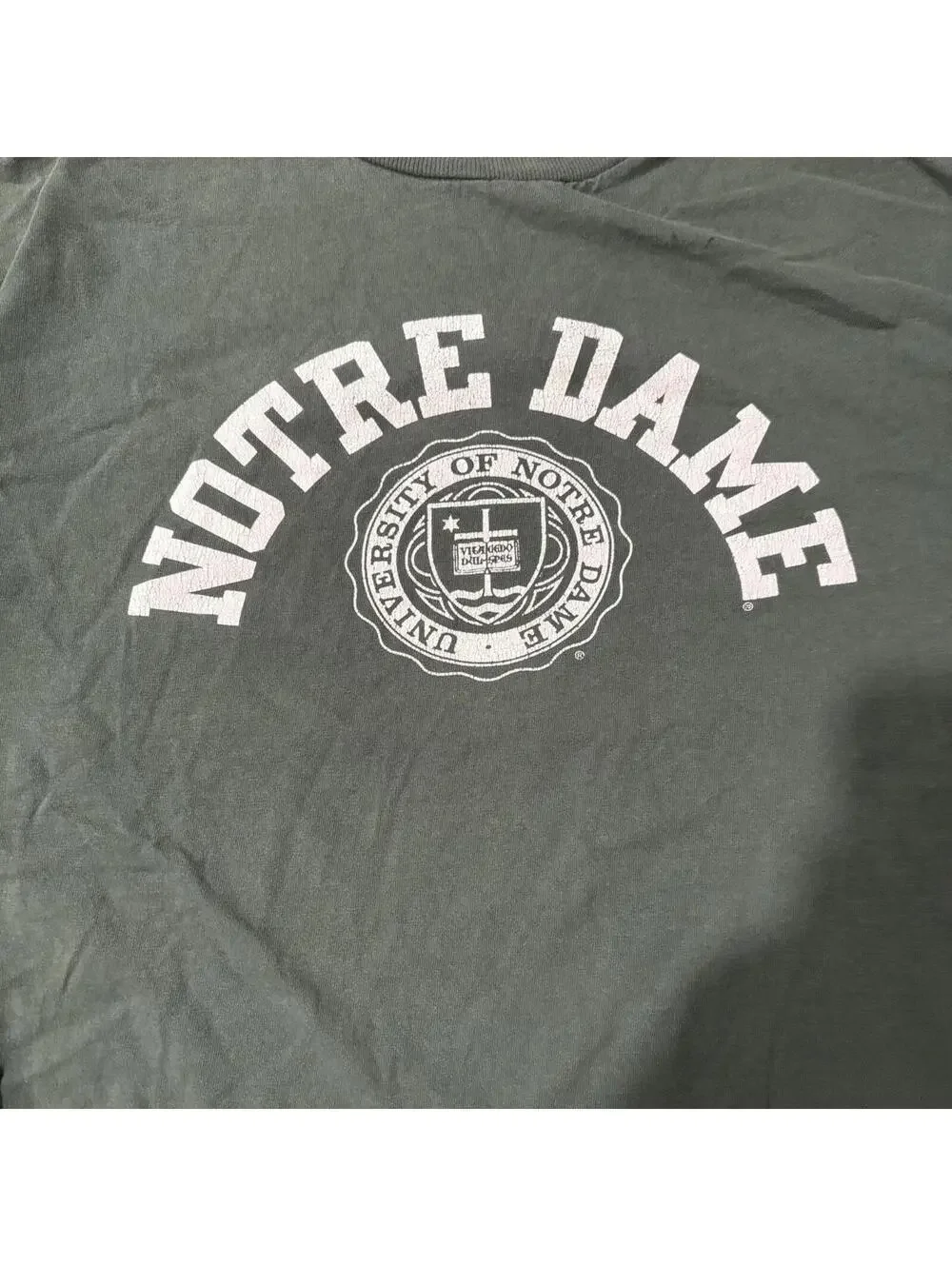 Champion Men's Green Tshirt - Picture 3 of 4